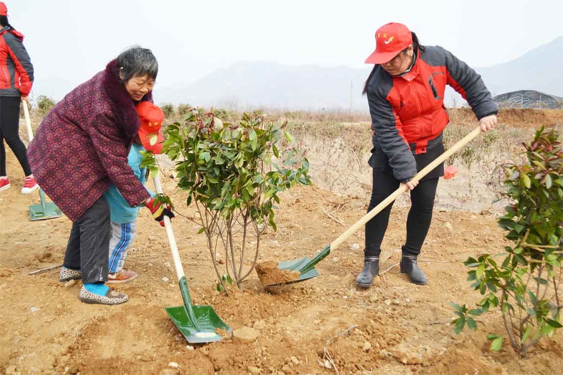 岱岳博爱康复中心：残障儿童种下“希望林”